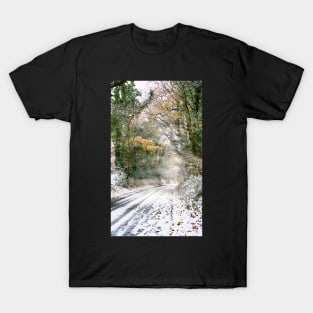 Wintry Cotswolds Lane T-Shirt